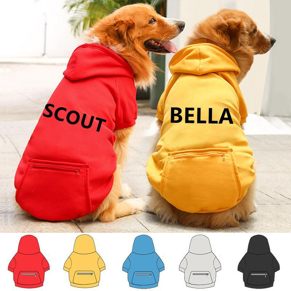 Dog best sale pocket hoodie